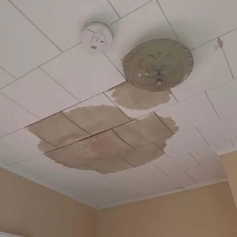 Ceiling Water Damage Repair in South Portland Gardens, ME