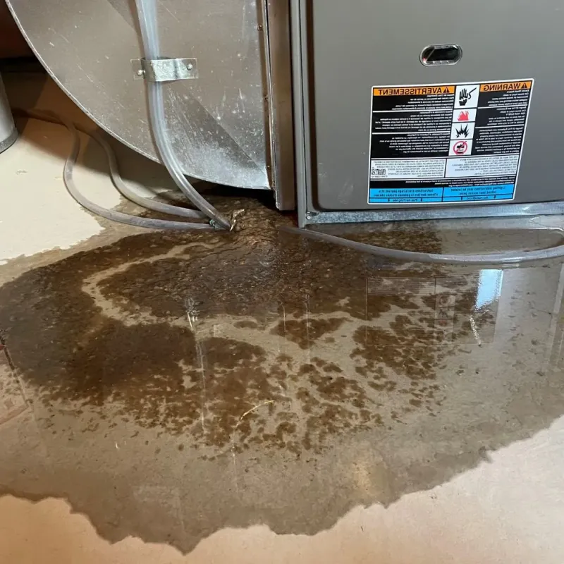 Pipe Burst and Leak Restoration in South Portland Gardens, ME